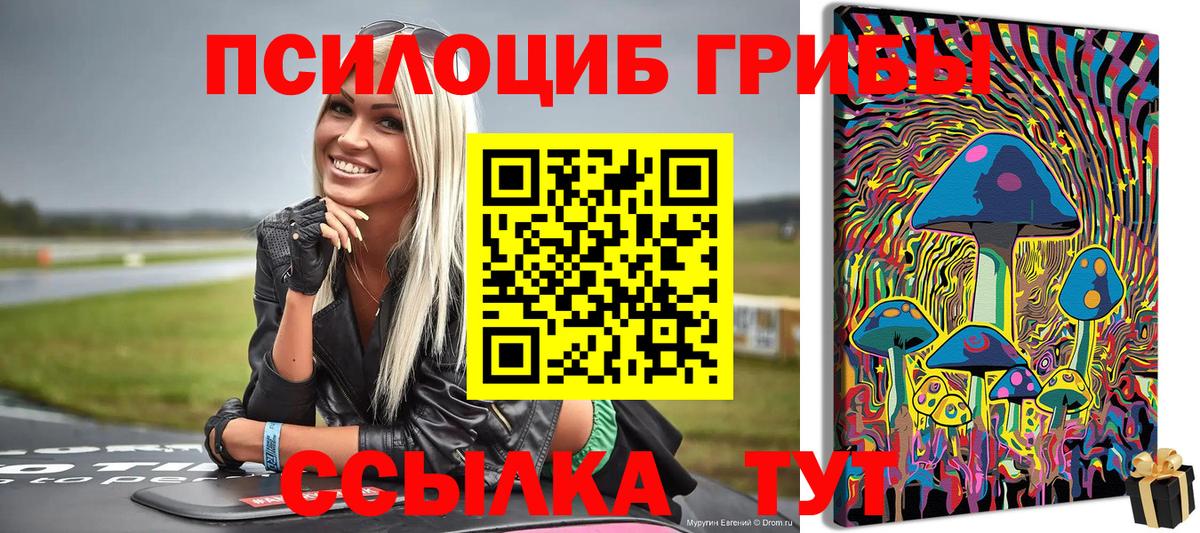 Глазов  Галлюциногенные грибы мицелий  Вход с VPN 