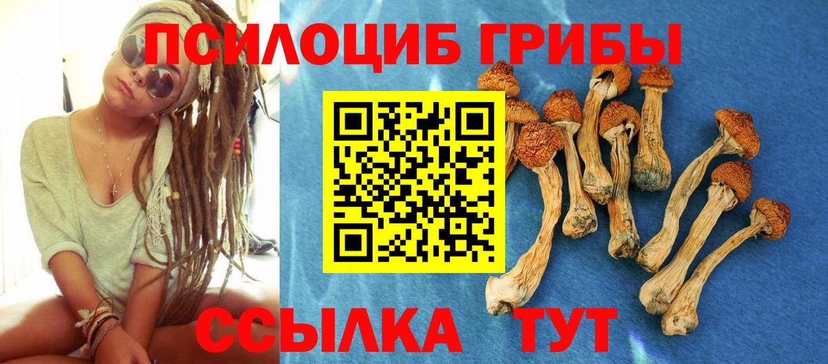 Галлюциногенные грибы GOLDEN TEACHER Глазов
